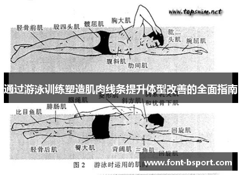 通过游泳训练塑造肌肉线条提升体型改善的全面指南 通过游泳训练塑造肌肉线条提升体型改善的全面指南